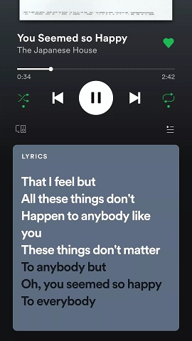 Uma captura de tela tirada em 2019 quando o Spotify estava testando seu n